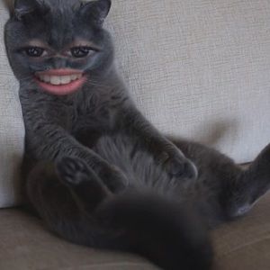 Meet your Posher, Armando